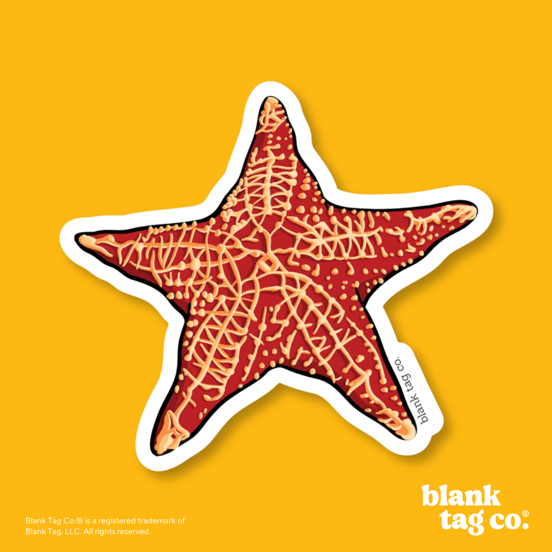 Blank Tag Co.® Waterproof Sticker - Starfish